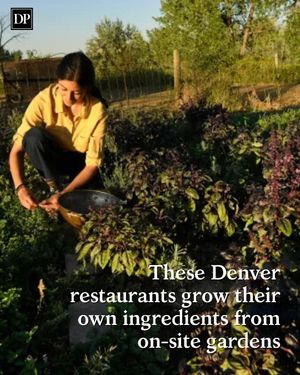 Image post by @denverpost on Instagram