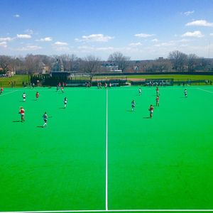 Image post by @terrierfh on Instagram
