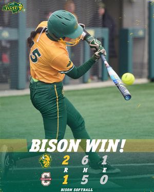 Image post by @ndsusoftball on Instagram
