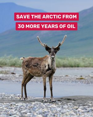 Image post by @centerforbiodiv on Instagram