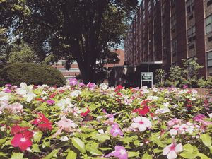 Image post by @marshallu on Instagram