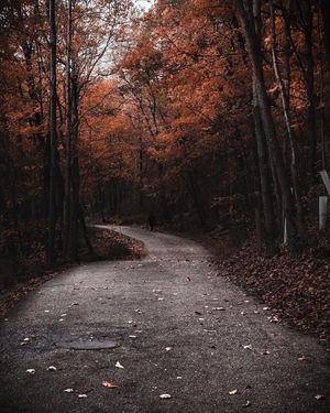 Image post by @canonusa on Instagram