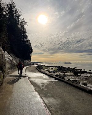 Image post by @nevillemadill on Instagram