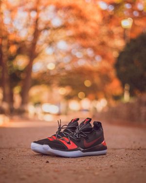 Image post by @osumbb on Instagram