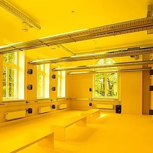 Image post by @curatorial_office on Instagram