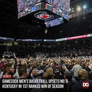 Image post by @dailygamecock on Instagram