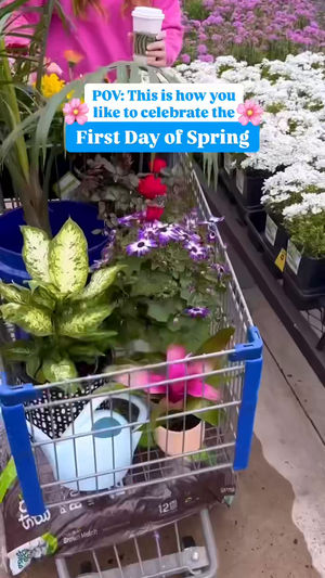 Video post by @lowes on Facebook