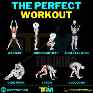 Image post by @thetrainingmanual on Instagram