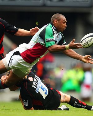 Image post by @harlequins on Instagram
