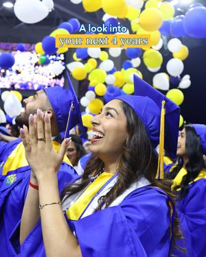 Image post by @hofstrau on Instagram