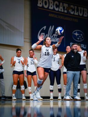 Image post by @msubobcatsvb on Instagram