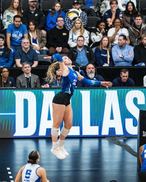 Image post by @mlv on Instagram