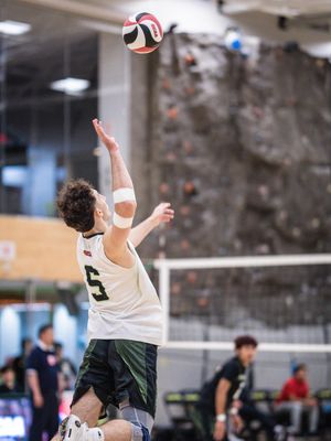 Image post by @coltsathletics on Instagram