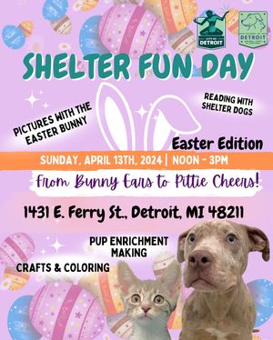 Video post by @DetroitGSD on Facebook