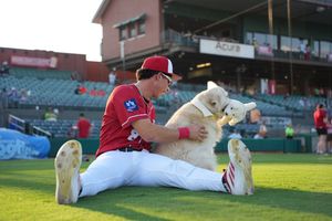 Image post by @MiLB on Twitter