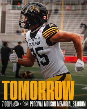 Image post by @hamiltontigercats on Instagram