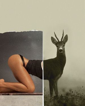 Image post by @fubiz on Instagram