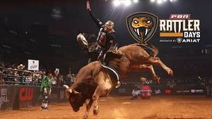 Video post by @pbr on YouTube