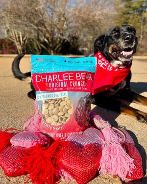 Image post by @charlee_bear_dogtreats on Instagram