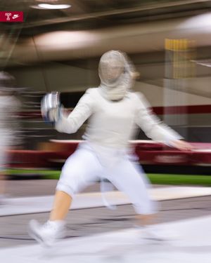 Image post by @templefencing on Instagram
