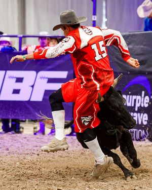 Image post by @ultimatebullfighters on Instagram