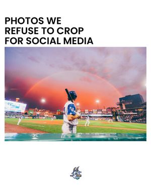 Image post by @hartfordyardgoats on Instagram
