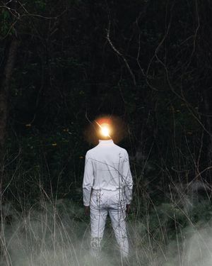 Image post by @wisdm on Instagram