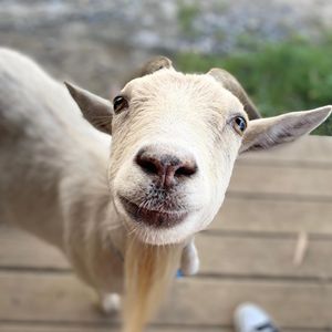 Image post by @kimklavel on Instagram