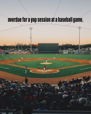 Image post by @trashpandasbaseball on Instagram