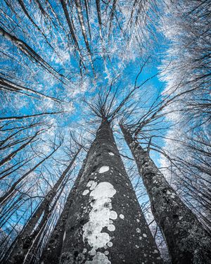 Image post by @gopro on Instagram