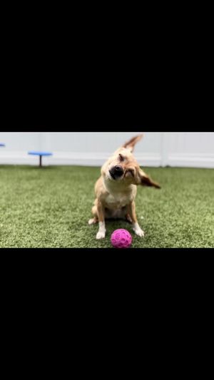 Video post by @oliviamancuso__ on TikTok