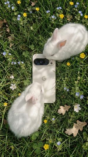 Video post by @googlepixeluk on TikTok