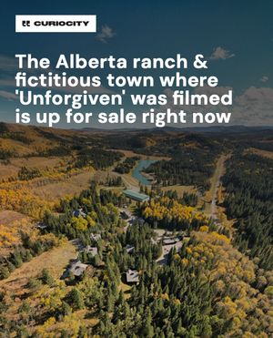 Image post by @curiocitycalgary on Instagram