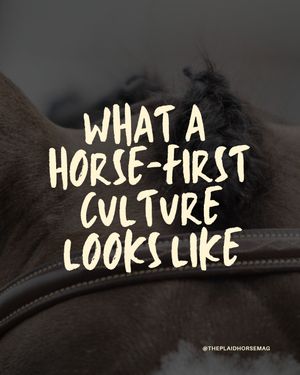 Image post by @theplaidhorsemag on Instagram