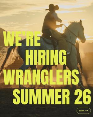 Image post by @diamondcrossranch on Instagram