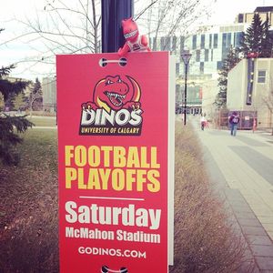 Image post by @ucalgarydinos on Instagram