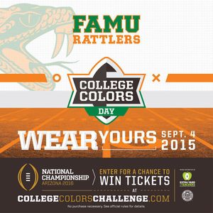 Image post by @famuathletics on Instagram