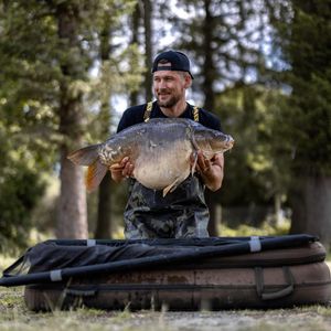 Image post by @brothercarp on Instagram