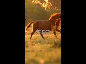 Video post by @ubykotex on YouTube