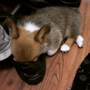 Image post by @aircorg on Instagram