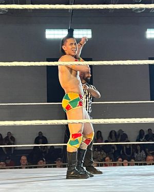 Image post by @dantechenwwe on Instagram