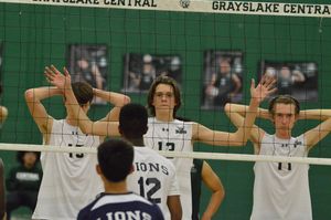 Image post by @laubhan.creative on Instagram