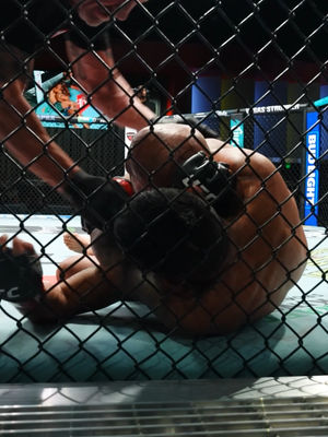 Video post by @ufc on TikTok