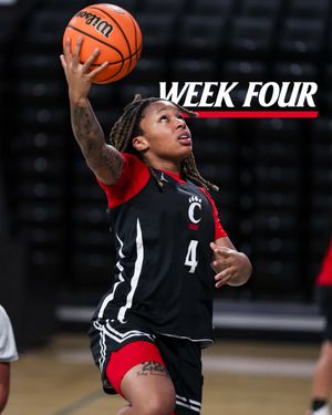 Image post by @gobearcatswbb on Instagram
