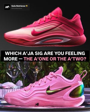 Image post by @soleretriever on Instagram