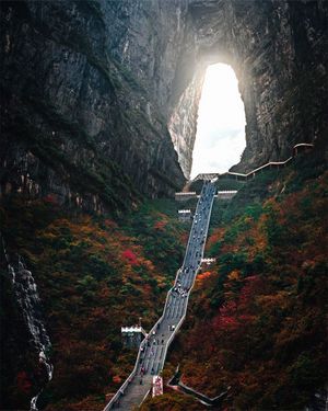 Image post by @fubiz on Instagram