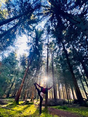 Image post by @cornelia__werner on Instagram