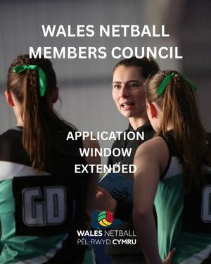 Image post by @walesnetball_ on Instagram