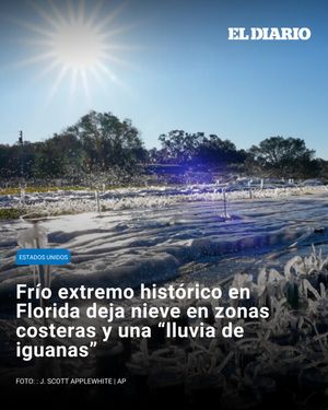 Image post by @eldiariony on Instagram