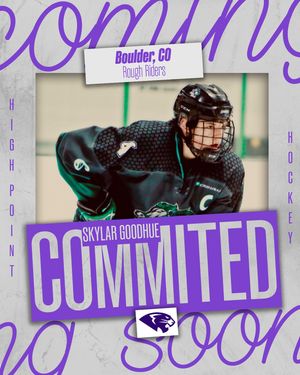 Image post by @highpointud2hockey on Instagram